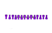 Massive Speed Trophy Engine Cam Valve Cover Kit Focus Zetec 2.0 Contour w SS Hardware Color Purple
