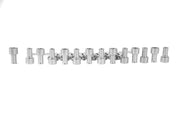 Massive Speed Trophy Engine Cam Valve Cover Kit Focus Zetec 2.0 Contour w SS Hardware Color Siilver