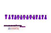MSS Trophy Engine Cam Valve Cover Kit Focus Zetec 2.0 Contour w SS Hardware Cap - Massive Speed System