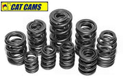 Cat Cams High Performance Valve Train Components - Massive Speed System