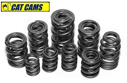 Cat Cams High Performance Valve Train Components - Massive Speed System